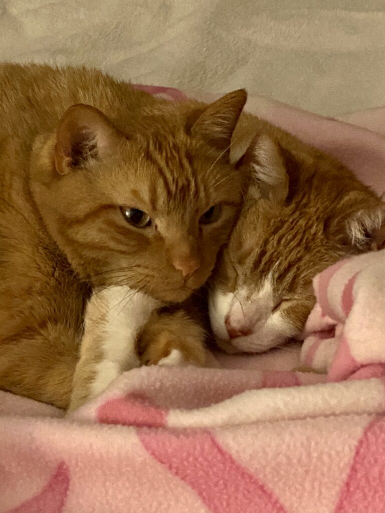George and William